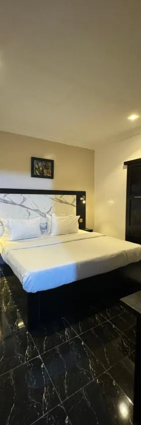Posh Hotel and Suites Ikeja，位于伊凯贾的酒店