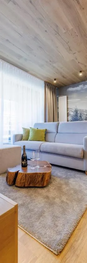 Vista Apartments，位于多尔尼莫拉瓦的酒店