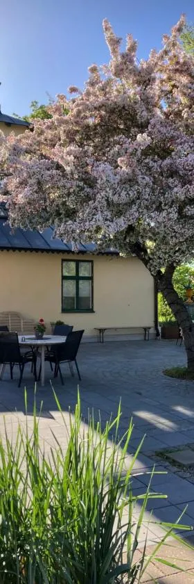 Villa Deluxe at Brohuspark，位于卢马的酒店