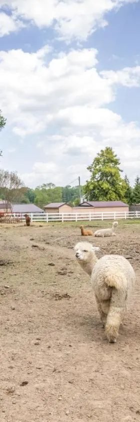 Watch Deer from a Farm Cottage，位于贝莱尔的酒店