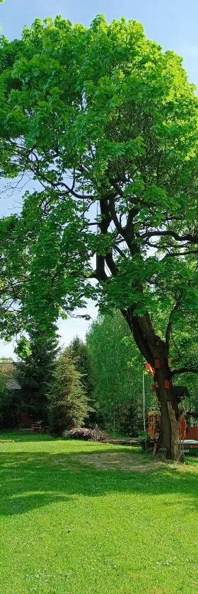 AGROTURYSTYKA "BIKE-OWE RANCZO POD KLONAMI"，位于Podłazie的酒店