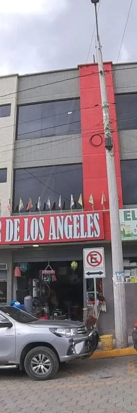 Hostal Flor de los Ángeles Guamote，位于Guamote的酒店
