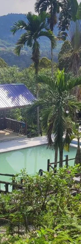 Panorama at DPuncakLui Chalet，位于乌鲁冷岳的酒店