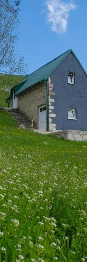 4NORTH Tiny house on the Durmitor's ring，位于Pišče的酒店