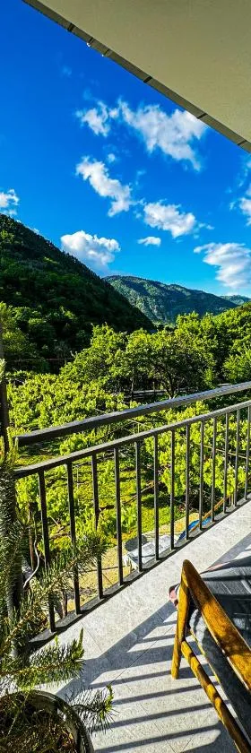 Family hotel mountain panorama，位于博尔若米的酒店