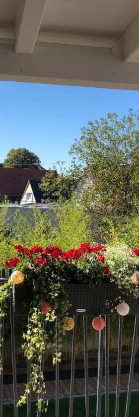 Maison d hotes Coeur de Village Alsace & spa，位于Rohrwiller的酒店