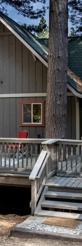 The Mighty Pines Retreat + Large Patio + BBQ+View!，位于箭头湖的酒店