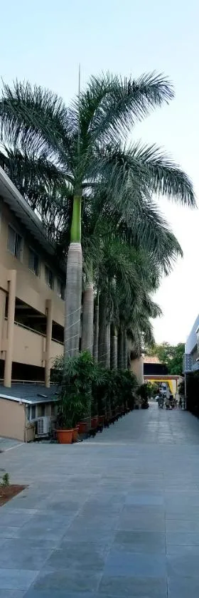Hotel Haldi，位于纳西克的酒店