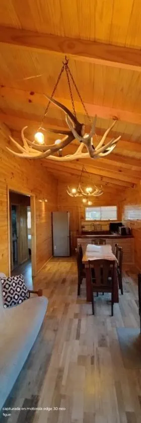 Cabaña Puyehue，位于普耶韦的酒店