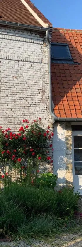 Petite maison à la campagne，位于Cressonsacq的酒店