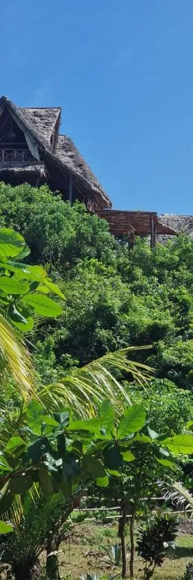 MONKEY MOUNTAIN LODGE，位于Mtende的酒店