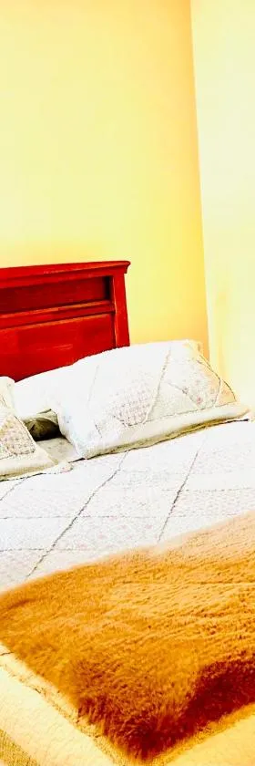Departamento Temuco Full Equipado，位于特木科的酒店