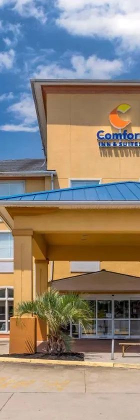 Comfort Inn & Suites Chesapeake - Portsmouth，位于切萨皮克的酒店