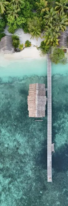 TABARI DIVE LODGE，位于Pulau Mansuar的酒店