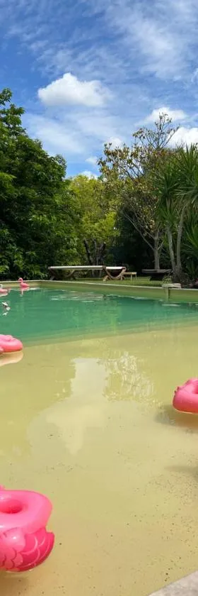 Le Patio, chambres d hôtes pour adultes en Camargue, possibilité de naturisme à la piscine,，位于艾马尔格的酒店