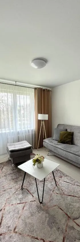 Radvilų apartamentai，位于Radviliškis的酒店