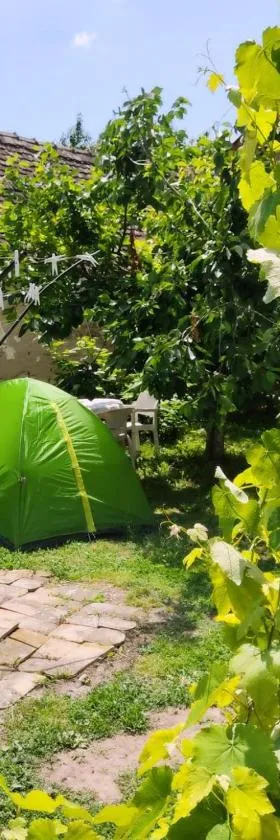 camping with sauna，位于Krčedin的酒店