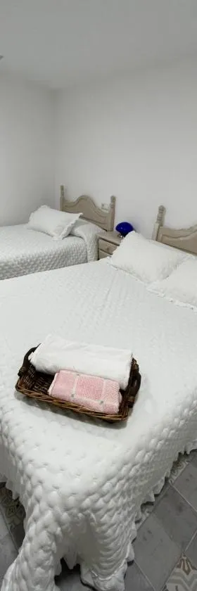 El rincón coqueto de fina，位于奥尔塞的酒店
