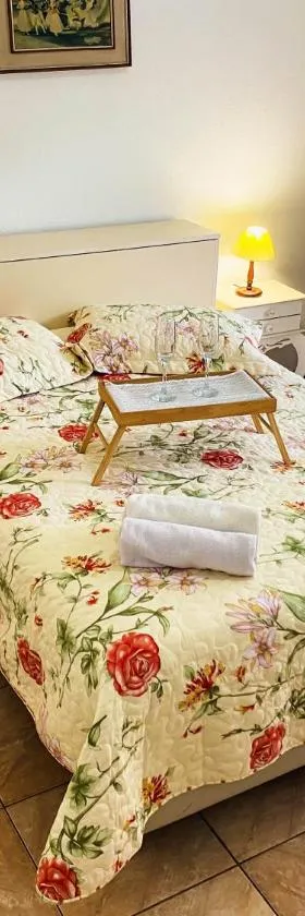 Apartamento Teresópolis - Centro，位于特雷索波利斯的酒店