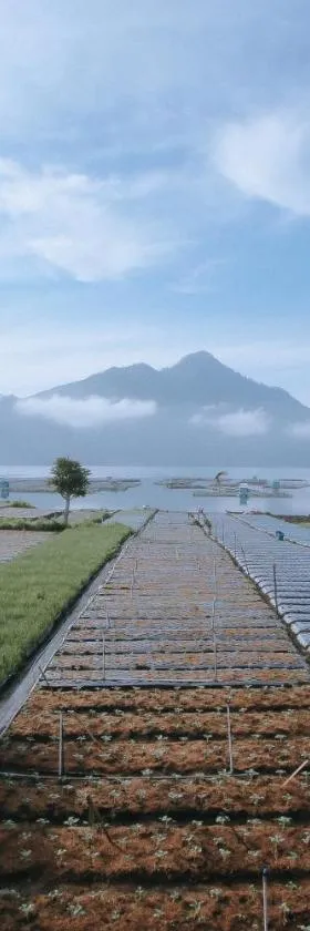 Lake Batur Cabin，位于库布盼洛坎的酒店