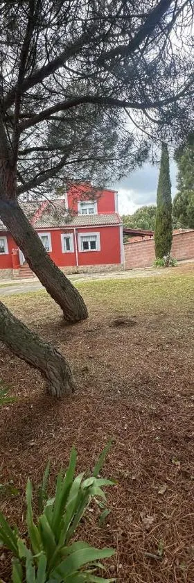 Casa Rural LA GUIJA antes Carlentini，位于Martiherrero的酒店