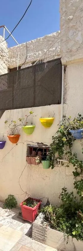 Al Karak House sharing Apt，位于卡拉克的酒店