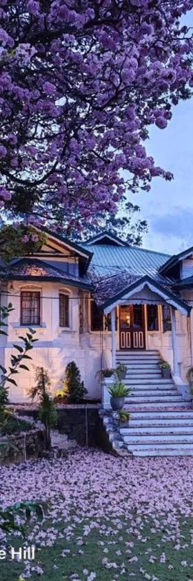 Walauwa on the hill，位于哈顿的酒店