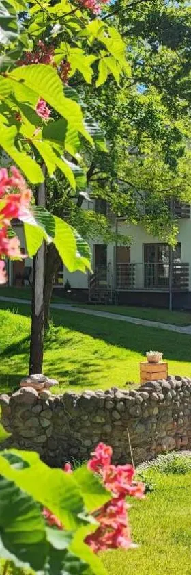 Dormowo 34 Apartamenty nad jeziorem，位于Dormowo的酒店