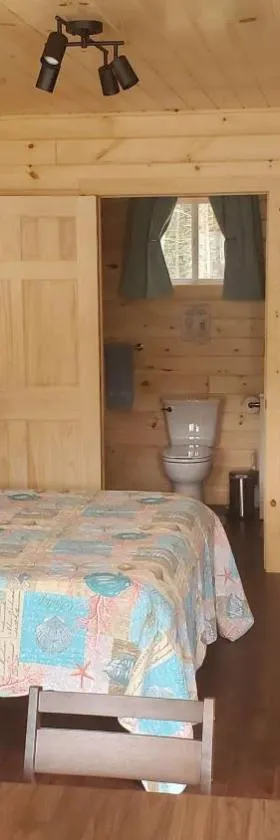 Lighthouse Cabins Maine，位于Bass Harbor的酒店