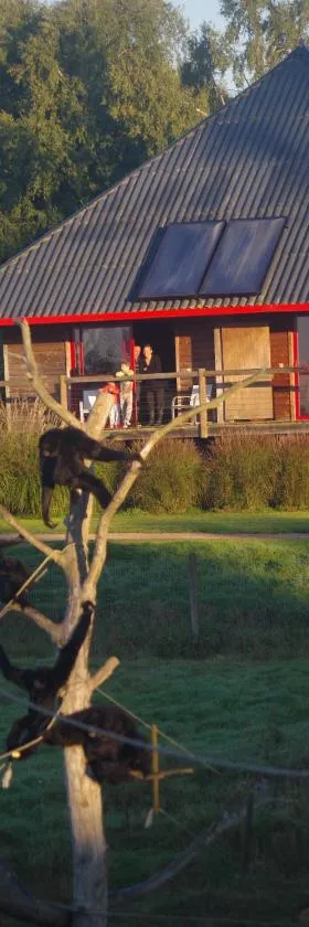 Cerza Safari Lodge，位于Hermival-les-Vaux的酒店