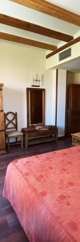 HOTEL EL RASTRO - Palacio Duque de Tamames -，位于阿维拉的酒店