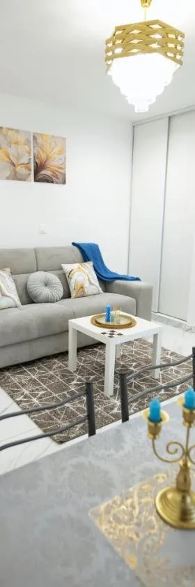 Appartement L'or 2 pièces de 44 m2，位于诺瓦西勒塞克的酒店
