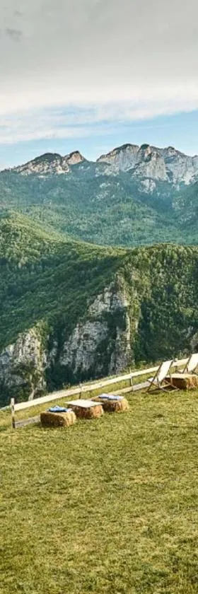 Eco Lodge Eagle's Nest，位于Šavnik的酒店