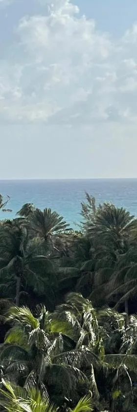 Stunning apt! Oceanview! Parking included，位于阳光岛滩的酒店