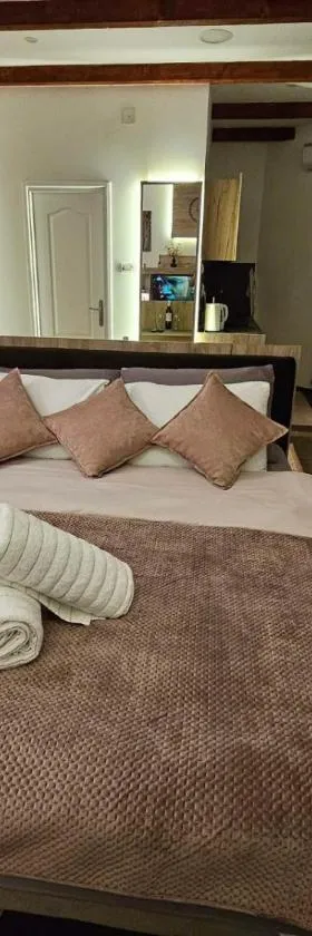 Apartman Mudrinić Apatin，位于阿帕丁的酒店