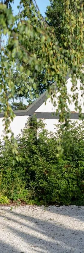 The Cottage at Haven on High，位于坎贝尔镇的酒店