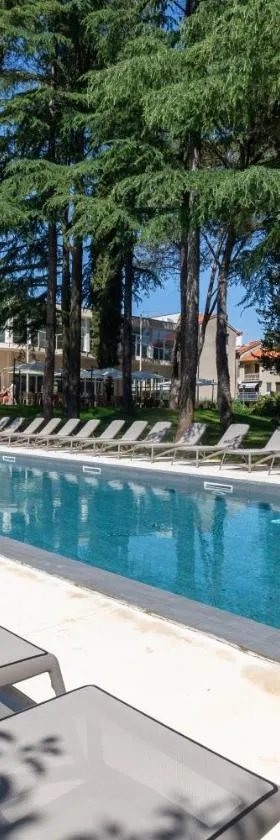 Hotel Emaus，位于诺维格勒伊斯特拉的酒店