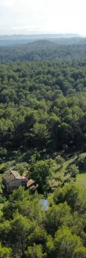 Bastidon provençal off-grid，位于萨雷尔讷的酒店