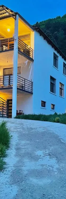 Guesthouse SHAMPRIANI，位于梅斯蒂亚的酒店