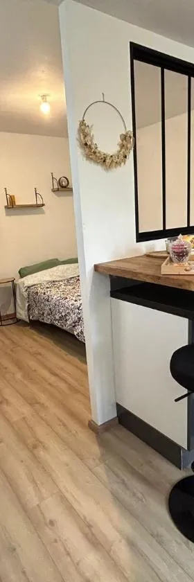Studio CF Cosy Proche Gare, Centre Ville et Toutes Commodites，位于圣特萨维内的酒店