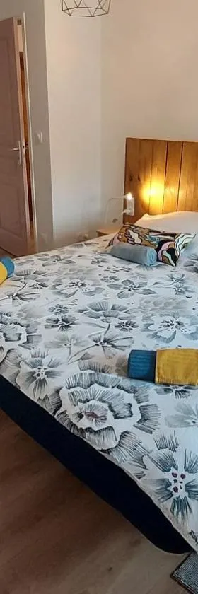 Suite à l'Oasis de Chamousset，位于布鲁良的酒店