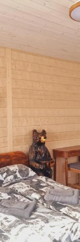 Bärenzimmer Wilderness Life，位于阿尔维斯尧尔的酒店