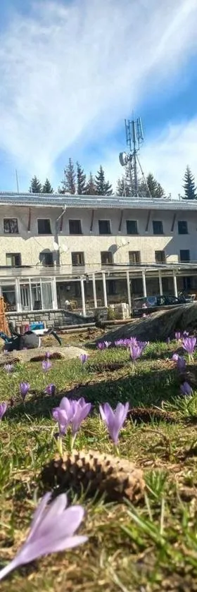 Zvezditsa Chalet，位于Vitosha的酒店