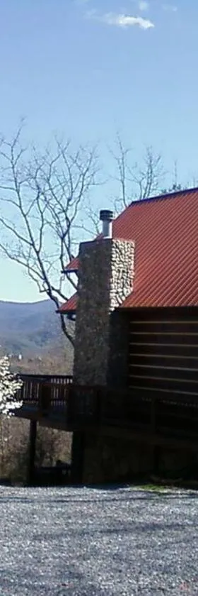 Lizard Lookout Cabin, Pets Welcome!，位于蓝岭的酒店