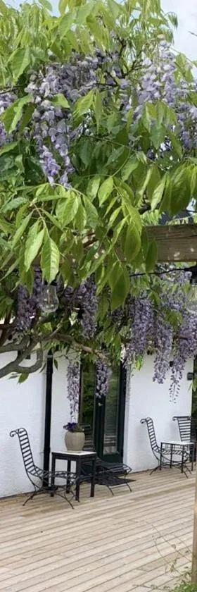 Wisteria Österlen，位于锡姆里斯港的酒店