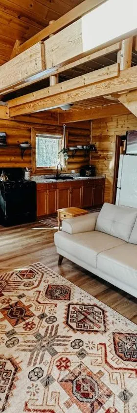 Cozy Cabins - Alaskan Getaways，位于瓦西拉的酒店