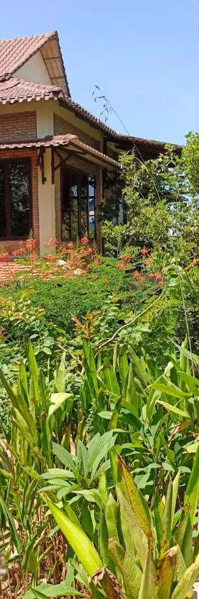Silk Island Homestay，位于Silk Island的酒店