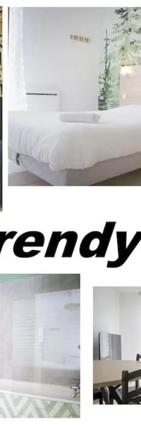 Le Trendy - Parking Wifi Piscine，位于沙兹勒的酒店
