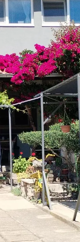 Apartments Ante，位于特里班的酒店