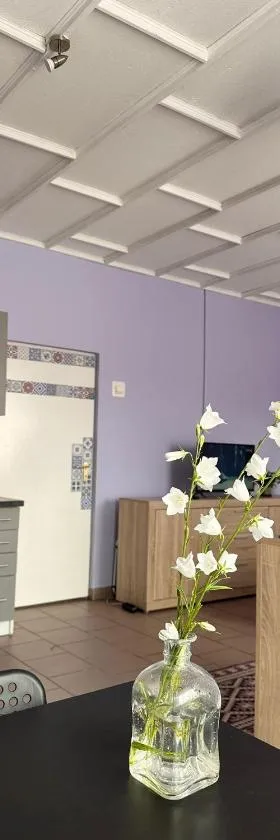 Studio Jolanta，位于斯塔拉霍维采的酒店